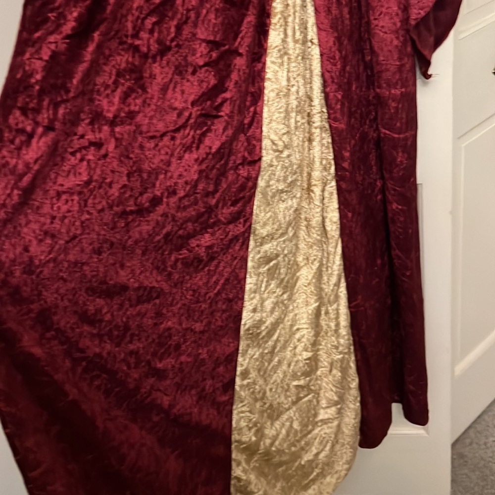 Halloween costume. Renaissance Maiden - Picture 5 of 13